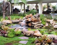 Garden of the Hotel GRAN BAHIA PRINCIPE PORTILLO - Las Terrenas - Dominican Republic